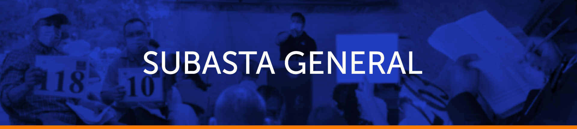 slide 1 /wp-content/uploads/2025/12/BANNER-SUBASTA-GENERAL-1-2025.png