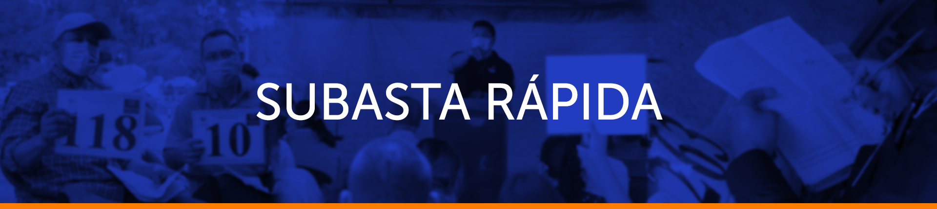slide 1 /wp-content/uploads/2026/08/Subasta-Rapida-Baner-1-2026.png